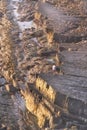 Young man explores sandstone coastline. Royalty Free Stock Photo