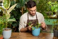 Young man in eyeglasses working in the flower shop and looking busy Royalty Free Stock Photo