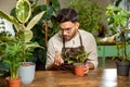 Young man in eyeglasses working in the flower shop and looking busy Royalty Free Stock Photo