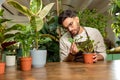 Young man in eyeglasses working in the flower shop and looking busy Royalty Free Stock Photo