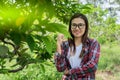 Woman farmer smiling and standing in custard apple trees orchard background Royalty Free Stock Photo