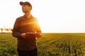 Young man farmer stands in a green wheat field with a tablet in his hands checking the progress of the harvest and looking sideway Royalty Free Stock Photo