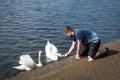 Feeding swans in the pond in Park