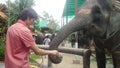 Young man feeds bananas an elephant. slow motion. 1920x1080