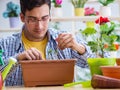 Young man florist working in a flower shop Royalty Free Stock Photo