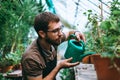 Young man gardener watering potted houseplant in greenhouse Royalty Free Stock Photo