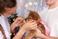 A young man gives a Shiba inu puppy as a Christmas gift to his girlfriend Royalty Free Stock Photo