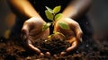 A Young Man Hands Connected Holding Some Soil with a Young Seedling Growing From The Soil Background Selective Focus