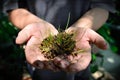 Young man hands holding a green young plant. Ecology concept Royalty Free Stock Photo