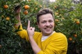 Young man harvests oranges and mandarins on citrus farm on sunny summer day Royalty Free Stock Photo