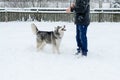 Young man with her dog husky outdoor on winter background. Active and happy man playing with dog, caressing and training Royalty Free Stock Photo