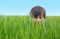 Young man hiding in green grass