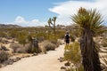 Young man hiking along with backpack on Arch Rock Trail in Joshua Tree National Park, California, USA Royalty Free Stock Photo