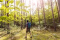 Man hiking in the forest