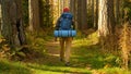 Young Man Hiking in Forest in Autumn. Active Healthy Caucasian Tourist With Backpack Walking in sunshine Wood. Male