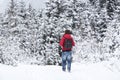 Young man hiking in wintry forest landscape