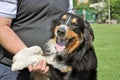 Young man and his dog Royalty Free Stock Photo