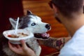 Young man and his dog at barbecue dinner on sunset time Royalty Free Stock Photo