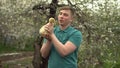 A young man holds a real duckling in his arms. A man in the garden with a bird. Royalty Free Stock Photo