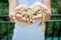 Young man holds a rosary in his hands and pray Royalty Free Stock Photo