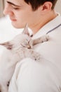 a young man holds a small white kitten and petting him. nevsky masquerade cat. Royalty Free Stock Photo