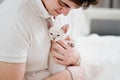 a young man holds a small white kitten and petting him. nevsky masquerade cat. Royalty Free Stock Photo