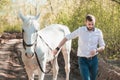 Young man with horse. Autumn outdoors scene Royalty Free Stock Photo