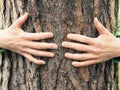 Young man hugs a tree Royalty Free Stock Photo