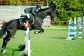 Young man jockey ride beautiful black horse and jump over the crotch in equestrian sport black and white with high contrast. Octob