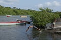 Young man jumping in Jaguaripe river in front of colorful fishing canoes docked on the river bank