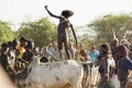 Young man jumps of the bulls. Turmi, Omo Valley, Ethiopia.