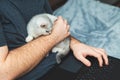 Young man with kitten working at his laptop Royalty Free Stock Photo