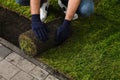 Young man laying grass sod on ground in garden, closeup Royalty Free Stock Photo