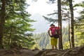 Hiker in the forest