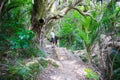 Young man with little daughter on hiking trail, Mount Manaia.