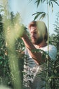 Young man in the middle of a hemp field Royalty Free Stock Photo