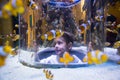 Young man looking at fish into a circular tank Royalty Free Stock Photo