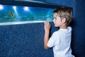 Young man looking at fish in a small tank Royalty Free Stock Photo