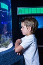 young man looking at fish in tank Royalty Free Stock Photo