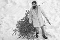 Young man lumberjack is cutting Christmas tree in the wood. Funny Santa man posing with axe and Christmas tree. Man Royalty Free Stock Photo