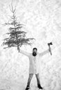 Young man lumberjack is cutting Christmas tree in the wood. Young woodcutter winter portrait. Man with beard bears home Royalty Free Stock Photo