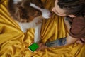 Young man lying on yellow blanket with Australian Shepherd dog, holding phone in hands and surfing Internet online top