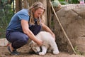 Young man makes friends with white lioness cub Royalty Free Stock Photo