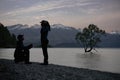 Young man making proposal to his girlfriend at Wanaka Tree during romantic sunset. New Zealand Royalty Free Stock Photo