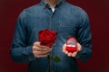 Young man making wedding proposal holding one red rose and box with engagement ring Royalty Free Stock Photo