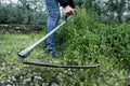 Young man mowing the grown grass with a scythe Royalty Free Stock Photo