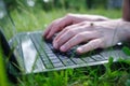 young man in the park sitting on the grass with a laptop, close-up hands and laptop. person typing on a laptop Royalty Free Stock Photo