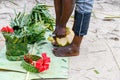 Young man peeling coconut fruit at the farm at Zanzibar island