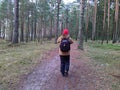 young man photographing forest in spring back view