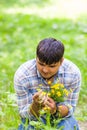 Young man picking up flowers for his woman Royalty Free Stock Photo